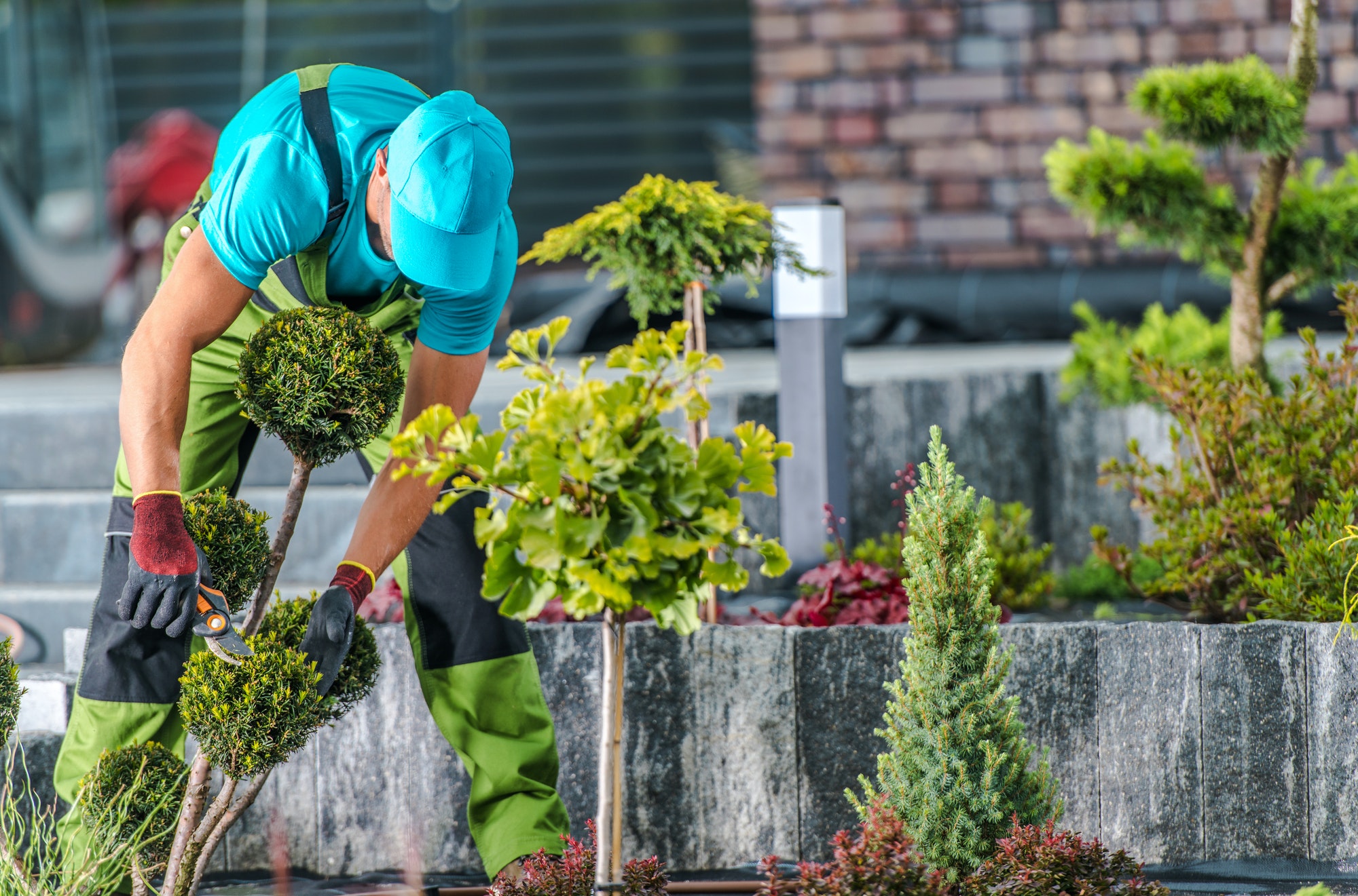 Garden Maintenance by Professional Gardener